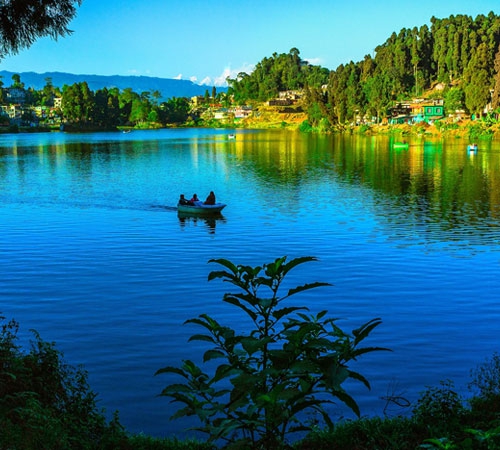 Treasures Of Mirik , Darjeeling, Kalimpong Super Luxury Holiday Package